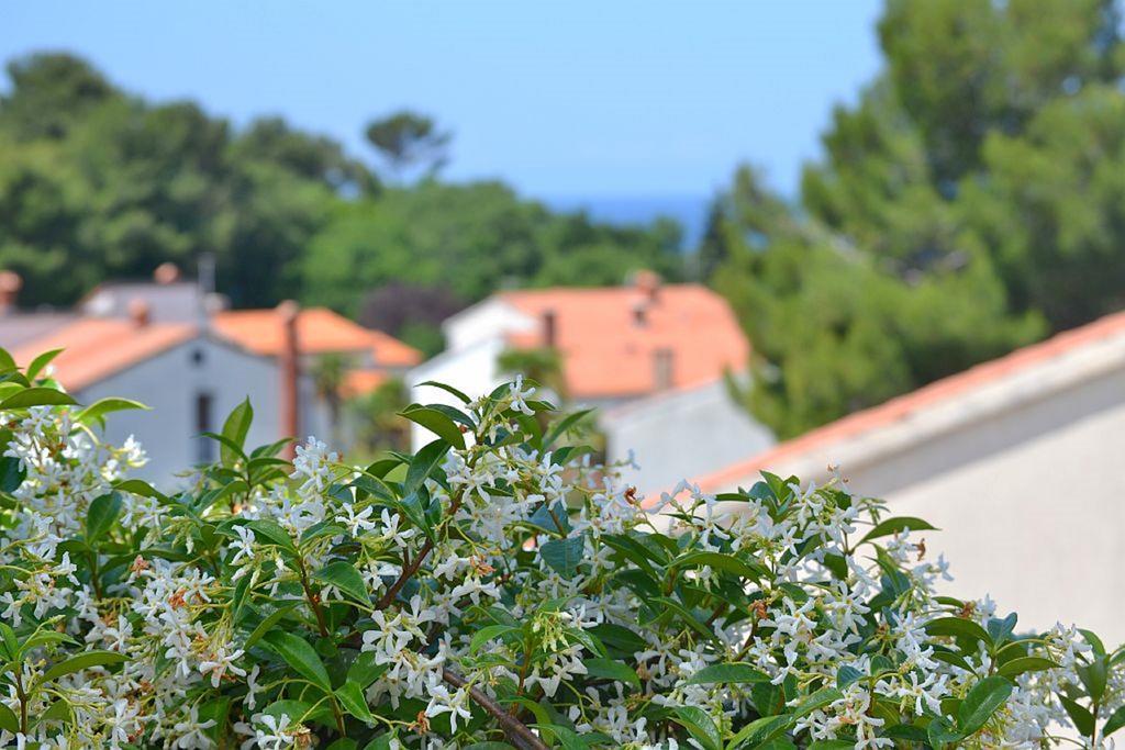 Apartments Zomzi Poreč Eksteriør billede